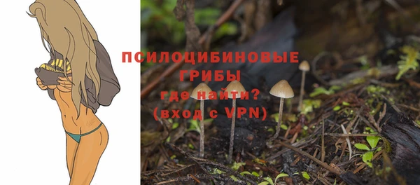 ECSTASY Струнино