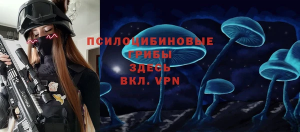 стафф Строитель